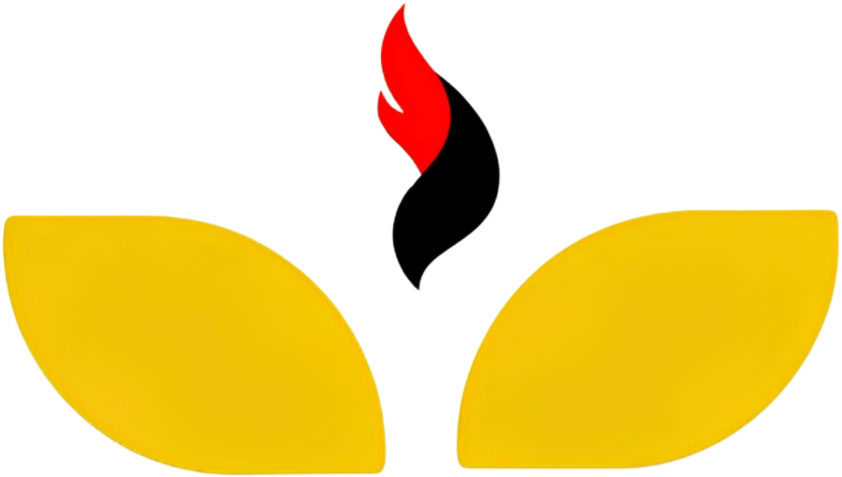 BlazeAOSP Logo